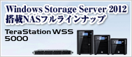 WindowsStorageServer