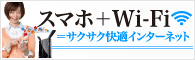 ���ޥۡ�Wi-Fi�᥵��������Ŭ���󥿡��ͥå�