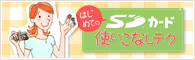 SD�����ɻȤ����ʤ��ƥ�