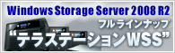 フルラインナップ テラステーションWSS